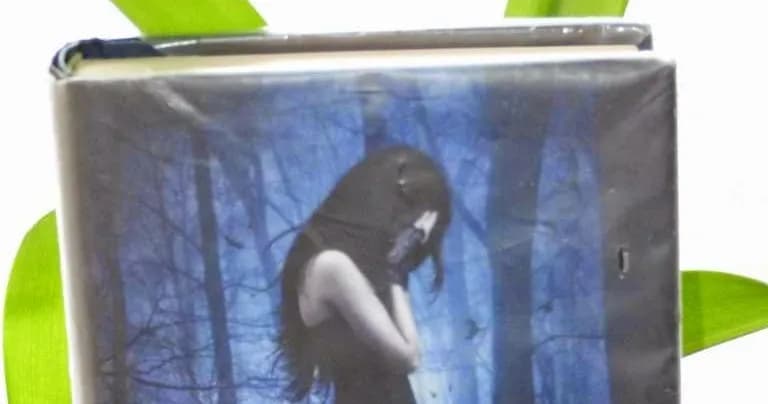 Recenzja książki Upadli: Czy warto ją przeczytać? Analiza i opinie