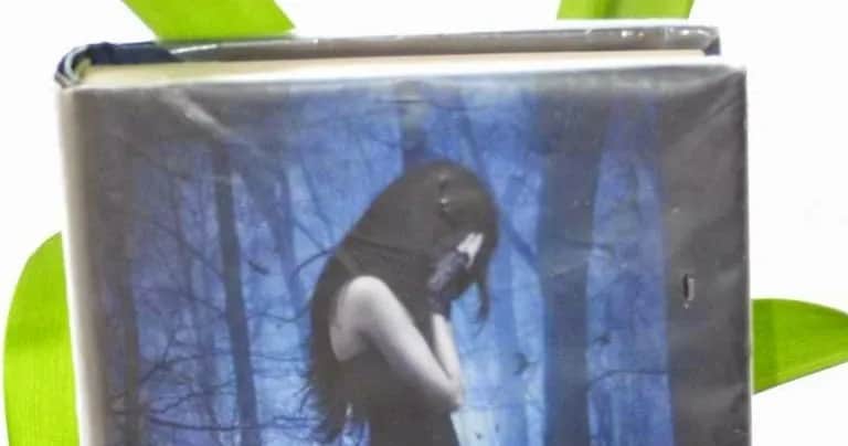 Recenzja książki Upadli: Czy warto ją przeczytać? Analiza i opinie